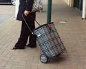 Shop a Seat Escort - Shopping Trolley/Basket doubles as a Seat