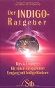 Der Indigo-Ratgeber - Tips und Übungen für einen entspannten Umgang mit den Kindern unserer Zeit