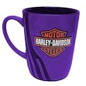 Harley Davidson Slasher Stripe 14 oz Mug (Blue)