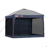 10 x 10 max shelter