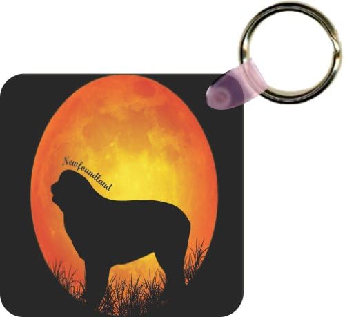 Rikki KnightTM Newfoundland Dog Silhouette By Moon Square Key Chains (Set of 2)