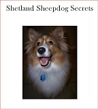 Shetland Sheepdog Secrets: How to Raise Happy and Healthy Shelties