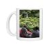 Visitors relaxing at a Zen meditation garden at Sanzenin Temple in Ohara, Photo Mugs
