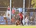 Justin Upton Signed Arizona Diamondbacks 8x10 Photo