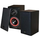 Cerwin-Vega VE-5M