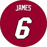 LeBron James #6 Red Jersey Button - Miami Heat PINBACK / PIN / BADGE