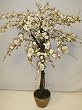 36" Cherry Blossom Tree (Cream)