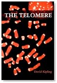 The Telomere