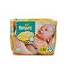 Pampers Swaddlers Newborn 240 Diapers (12 packs of 20)