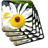 lucky ladybug on a daisy - Set Of 4 Ceramic Tile Coasters