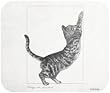 Testing Furniture Black White Cat Mouse Pad MousePad