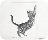 Testing Furniture Black White Cat Mouse Pad MousePad