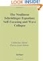 Nonlinear Schroedinger Equations: Self-Focusing and Wave Collapse (Applied Mathematical Sciences/139)