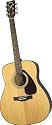 F325 Acoustic Guitar