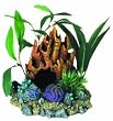 Coral Floral Cave with Plants