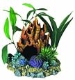 Coral Floral Cave with Plants