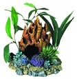 Coral Floral Cave With Plants