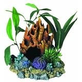 Coral Floral Cave with Plants
