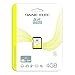 Dane-Elec 4 GB SDHC Flash Memory Card DA-SD-4096-R