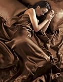 Brown Satin 6Pcs Fitted Sheet Duvet Quilt Cover Bed Set, Double