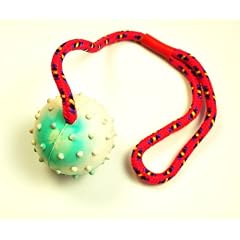5 x Schleuderball im Set - ideale Wurfschleuder f�r Hunde- perfektes Ausdauertraining und gro�er Hundespielspa� - 30502