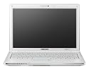Samsung NC20 12.1-inch Mini-Notebook (VIA Nano U2250 1.3GHz, 1GB RAM, 160GB HDD, Windows XP Home, White)