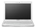 Samsung NC20 12.1-inch Mini-Notebook (VIA Nano U2250 1.3GHz, 1GB RAM, 160GB HDD, Windows XP Home, White)