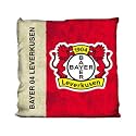 Bayer Leverkusen Kissen 'Used Schrift'