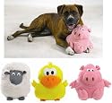 Barnyard Grunters Dog Toys - Duck
