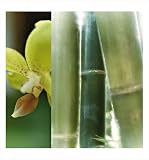 Bamboo III by Jennifer Broussard,13 in. x 14 in.