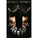 (22x34) Disturbed (Wealth) Art Poster Print