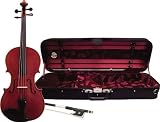 Ren Wei Shi Artist Viola, 15 1 / 2 Inch - B0002YC32W