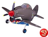 タマゴヒコーキ P-40ウォーホーク
