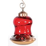 Woodlink NAH6 Audubon Glass Mini Lantern Hummingbird Feeder, Red