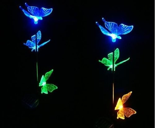examen iclever®Papillons Lumineuses Solaire Multicolores en utilisant l'énergie solaire pour la décoration sur le gazon ou le jardin