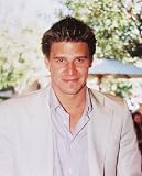 DAVID BOREANAZ 24X36 COLOUR POSTER PRINT