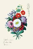 Art Poster, Floral Wish - 20x30