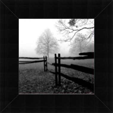 photography art prints