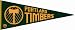 Portland Timbers 1980s NASL Soccer Pennant