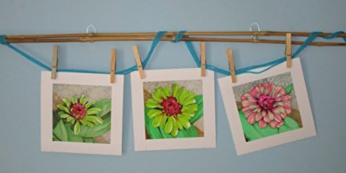 Flower trio fine art giclee prints 5x5