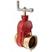 Dixon HGV250F Brass Single Hydrant Gate Valve, 2-1/2" NST female x NST male