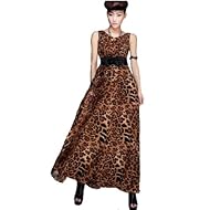 Leopard Print Chiffon  Dress