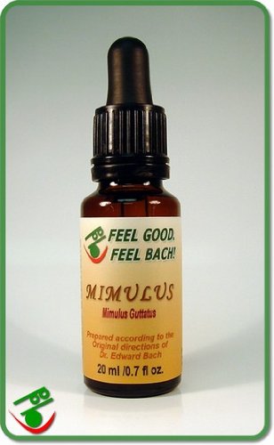Feel Bach! flower Mimulus 20 ml