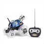 Thunder Tumbler Remote Controlled Car