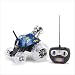 Toys : Thunder Tumbler Rc Car Remote Control Car