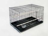 (Price/1)F061 Keet Flight Cage 24 (6cs)