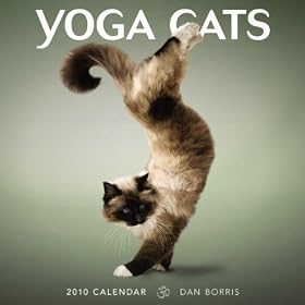 Yoga Cats 2010 Wall Calendar