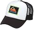 Quiksilver Young Men's 