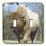 Jackie Popp Nature n Wildlife Animals - American Bison - buffalo - Light Switch Covers - double toggle switch