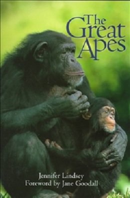 the great apes